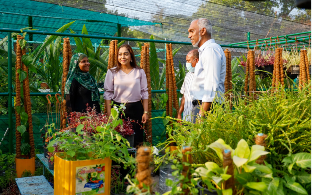 Community garden in dhookoffaivaa golheege kuli 500 ah kuda koffi