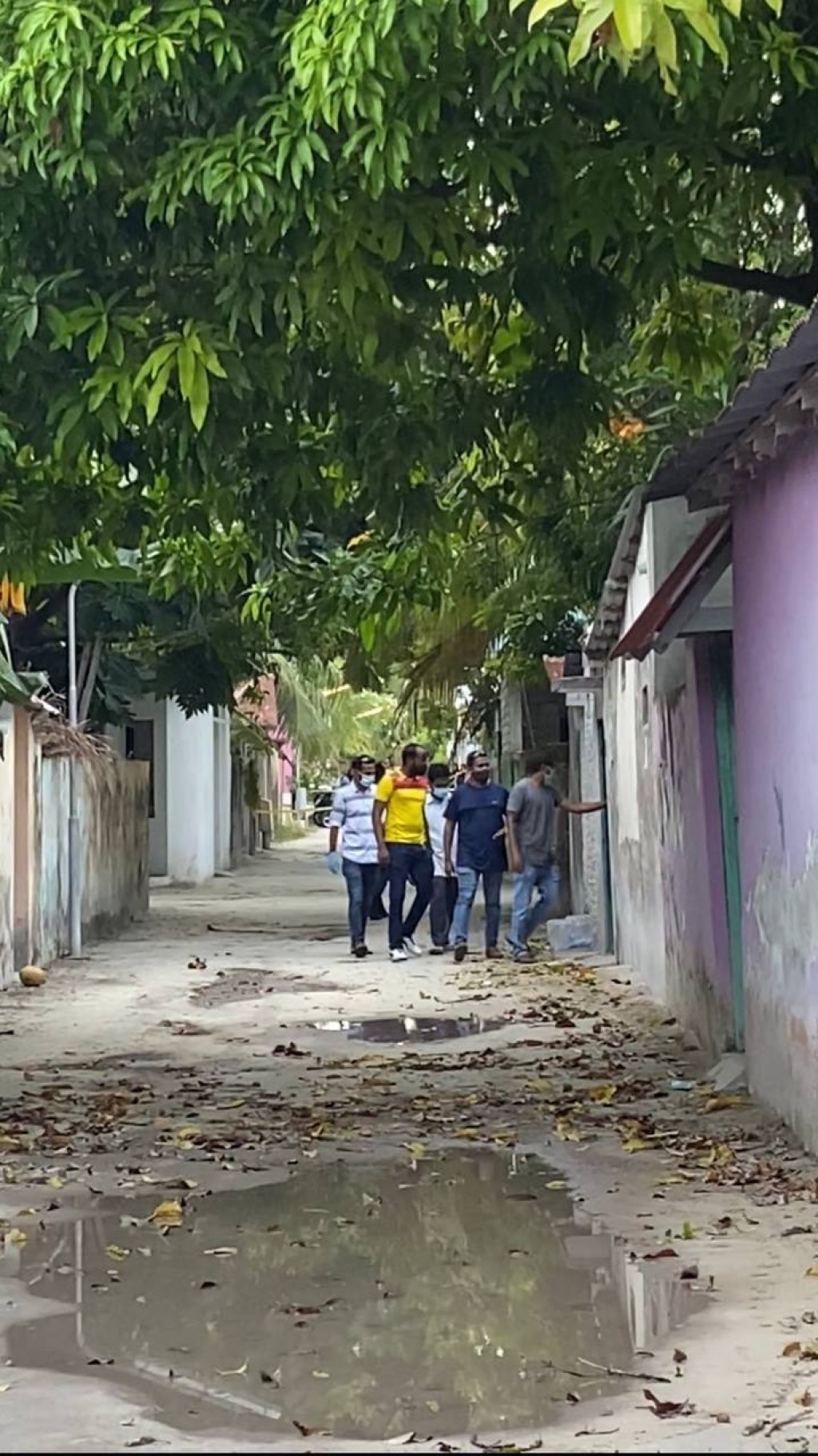 Mahmoodh ge maru: Valhu kairiah Saalim genes fuluhunnah vaahakathakeh kiyaidheefi