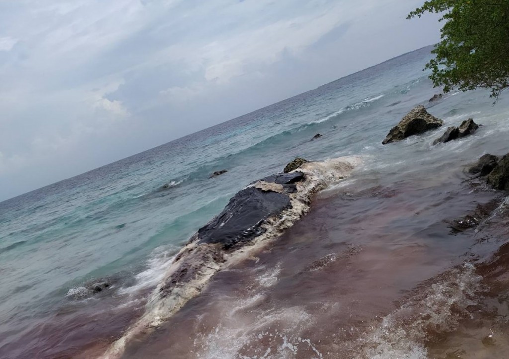 Thakandhoo ah bodu maheh lahgaifi