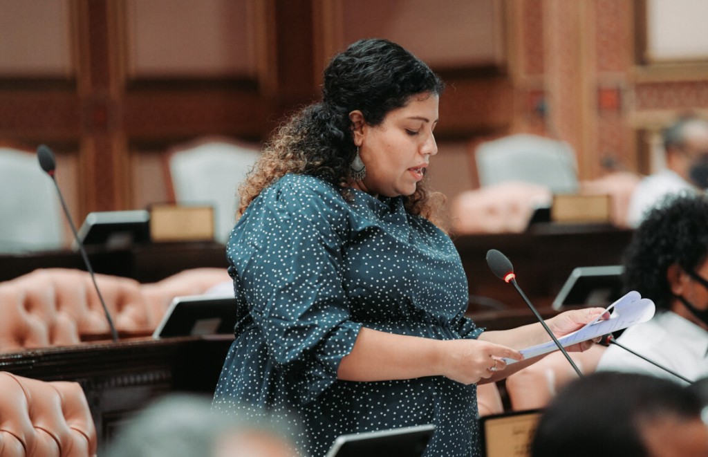 Meehun traffic koggen hoadhaa mudhalaai faisaa dhaulathah negeygothah gaanoonah islaah hushahalhaifi