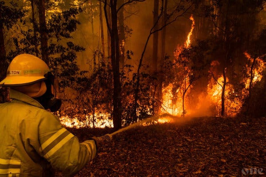 Australia bushfires fundraiser reaches A$20m in 48 hours