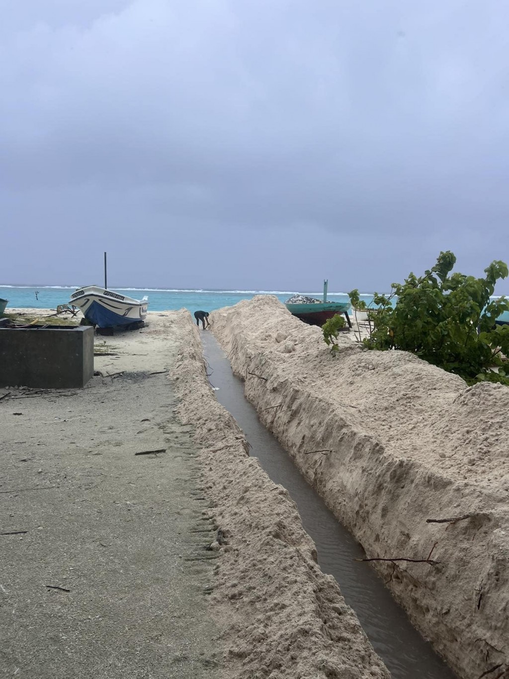Gadha vihssaaraigai Kelaa fenuadeegai, 30 ge'eh haalugai jehi, najisfen aranee