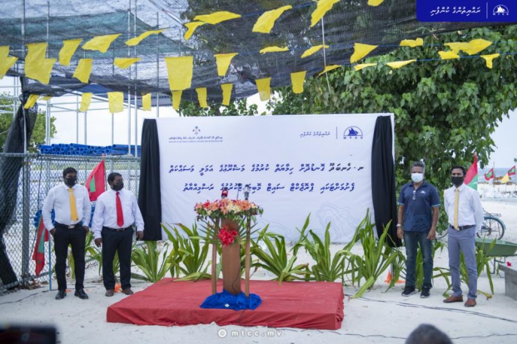 Henbadhoo gondudhoh himaayaai kurumuge mashroou fashan thahyaaruvehjje
