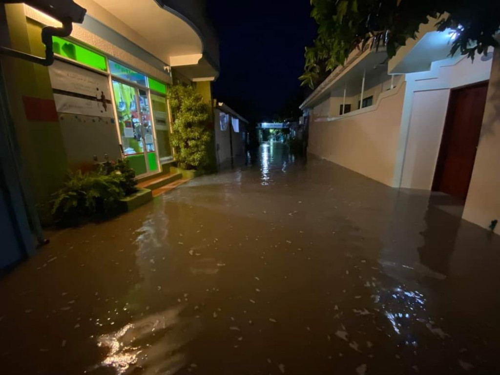 Mi mahu kuri vissaaraigai 84 geakah gellun