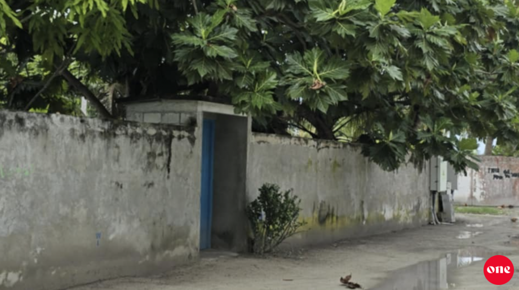 Veymandoogai France Saeed ge aailaage dhiriulhun, rashu meehun bunanee e'ee hama dhivehin kamah