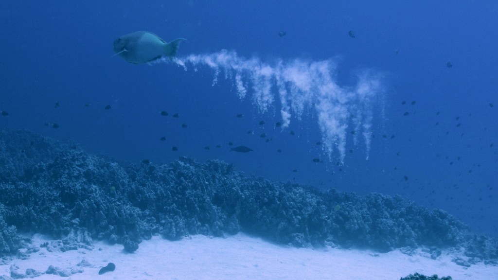 National Geographic inn bunanee raahjjeyge gondudhoh ufedhifaivanee mahehgge guin kamah vedhaane ey!