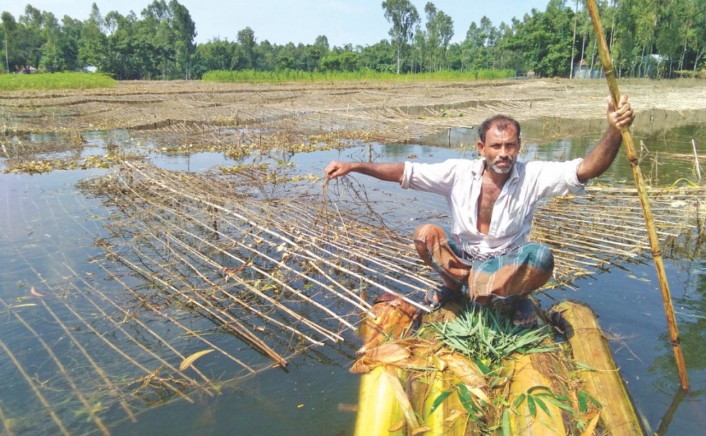 Bangladesh gai fen boduvumuge sababun 1.1 million tonne ge handoo halaaku versus jje