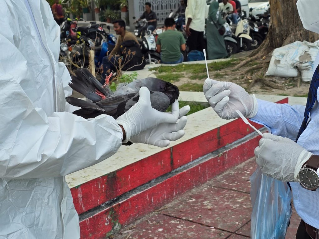 Kotharu thaka jehunu bali dheneiganeivijje, insaanuma nurahkalei nei: Ministry