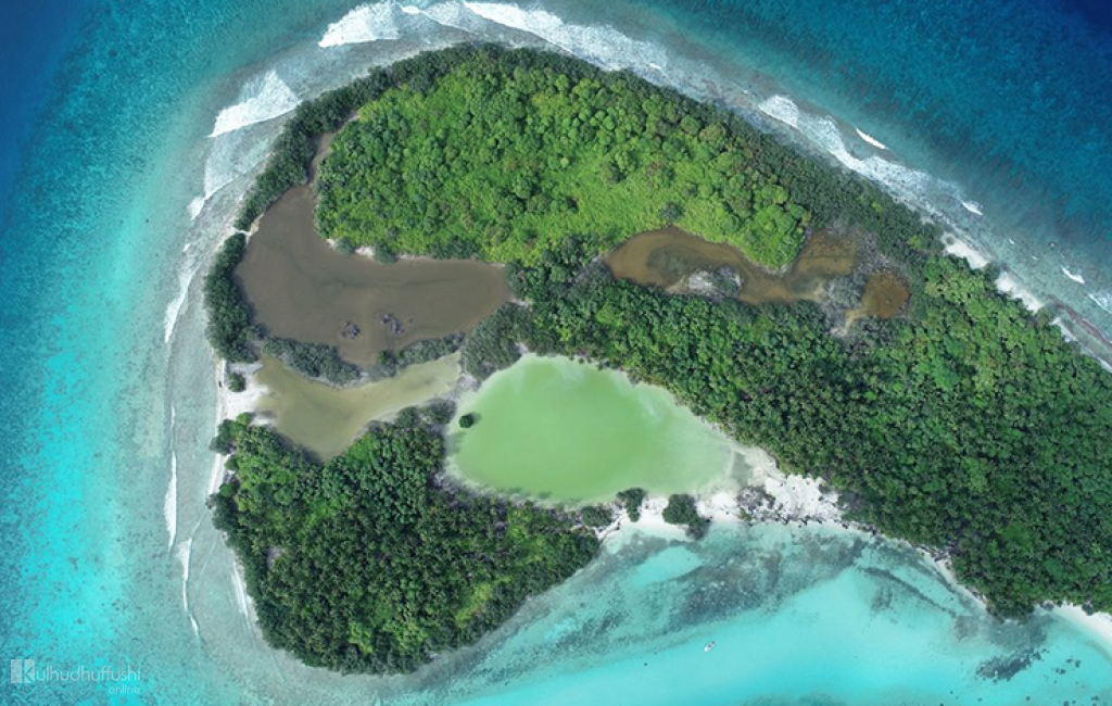 Sh. Farukolhu in gavaidhaa hilaafah veli nagamundhaat massala balan fashaifi