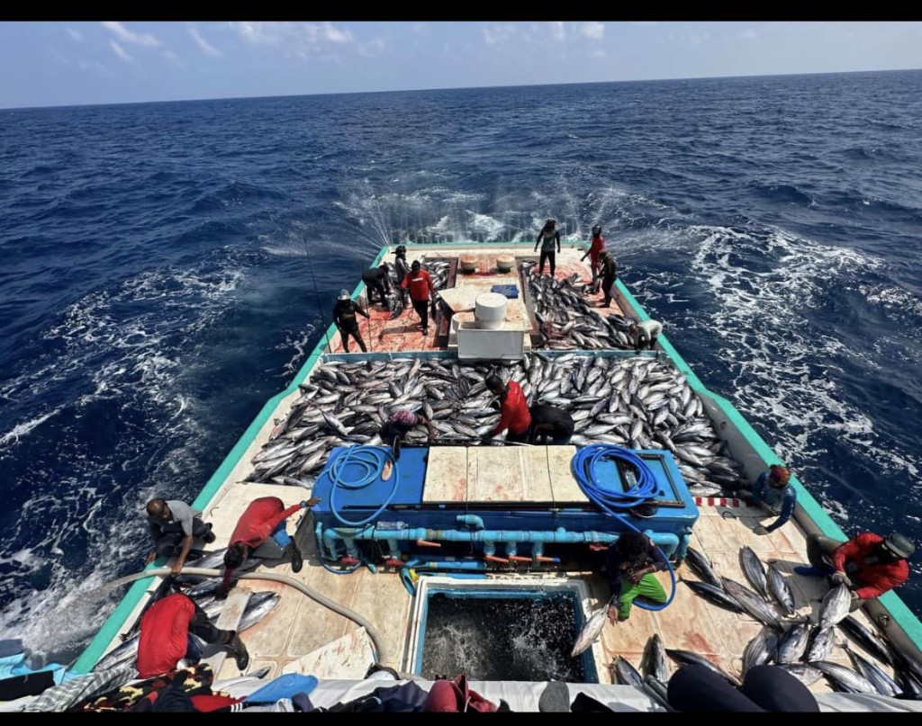 Masverin mahah furuvumah hiyvvaru dhinumuge gothun konme dhonayakah 3 ton ice hiley dhenee