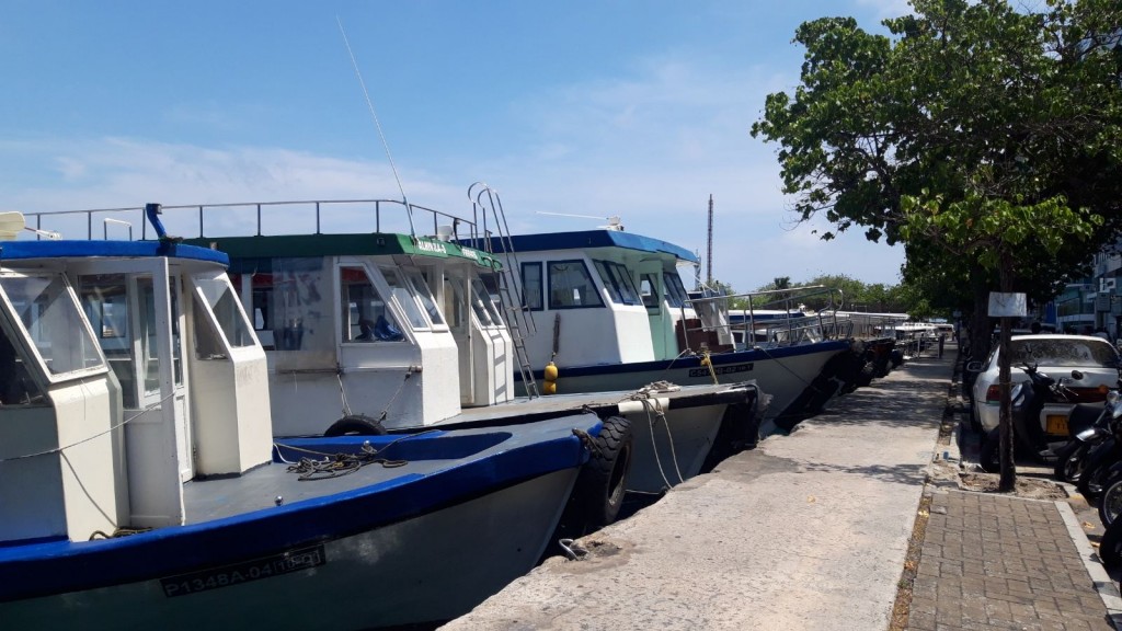 Male uthuru faraathu falhu thereygai huri sathari dhoani thah nagan angaifi, odiveringe hiyhama nujehun