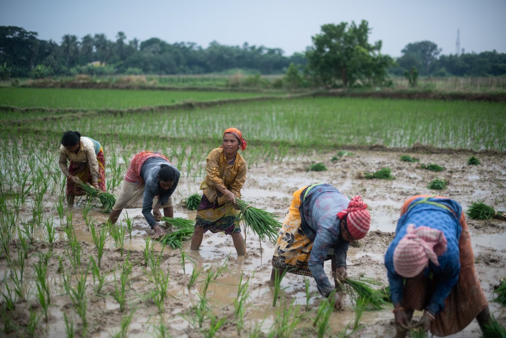 India in handoo export kurun madujahssaalaifi