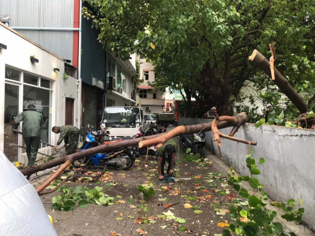 MNDF clears roads of trees fallen during torrential rain in Male’