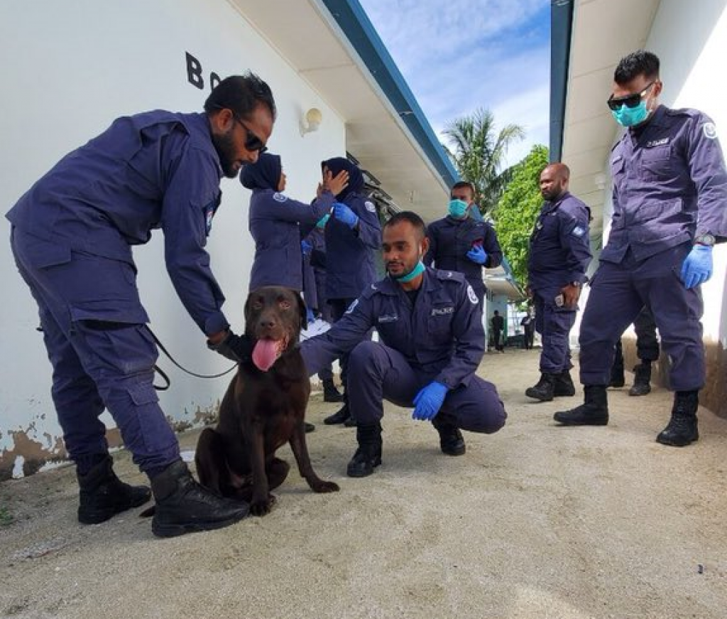 BREAKING: Kuhthaa beynunkohgen MPL thereygai fuluhun bodu operation eh hinganee