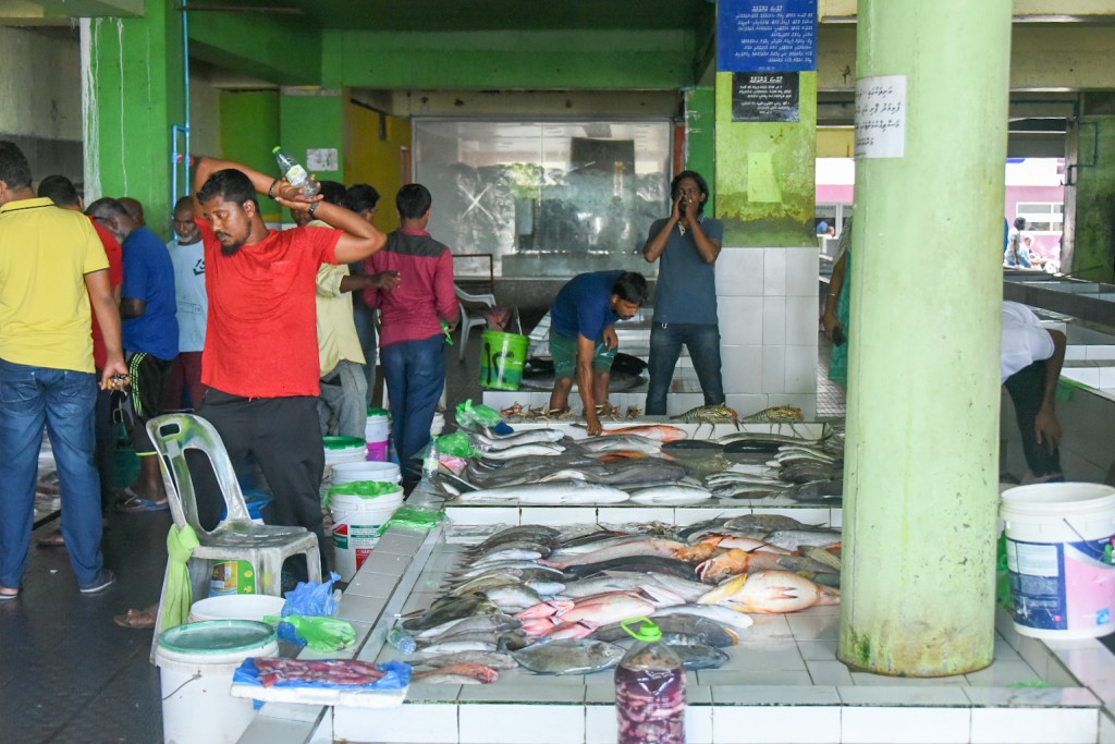 Farumas baanaa meehunnah 700,000 Rufiyaa ge loan dhookuran fashaifi