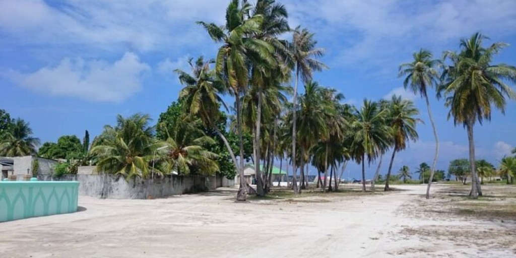 Manadhoo inn maruvi meehaage hashigan'dun bodethi zahamthakeh, huhdha nethi rashah arai feybun manaa