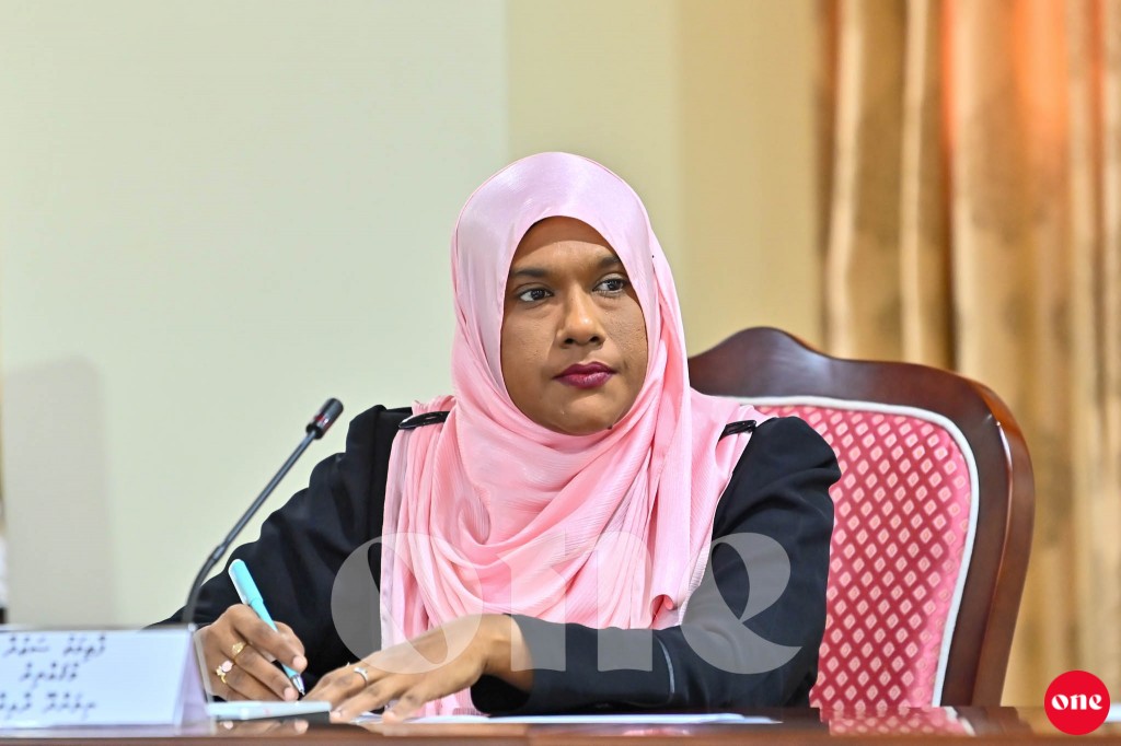 One Photo: Human Rights and Gender Committee ge bahdhaluvun