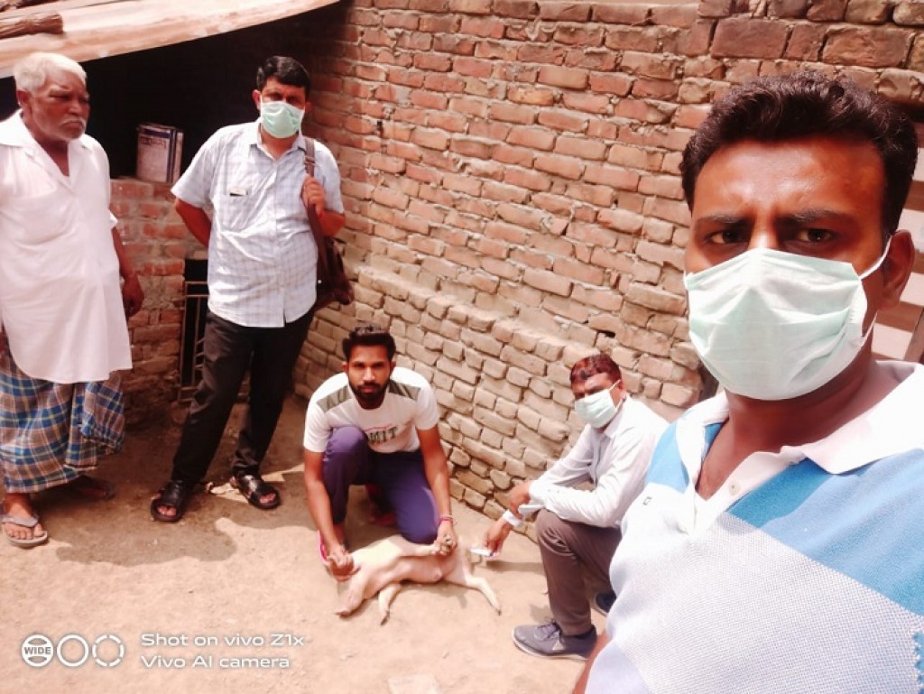 India ge Kerala in Swine flu fenijje