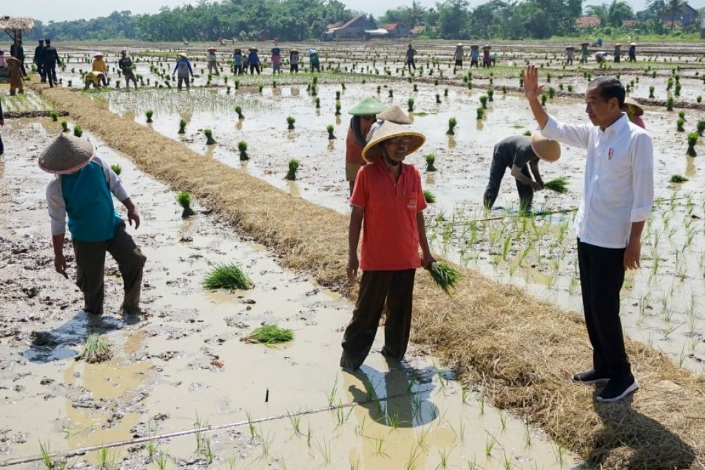 Indonesia ge handoo dhanduthakugai eheetheri vumah egaumuge sifain nerenee