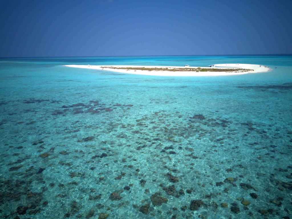 Ha. Alidhuhfaraai Medhufushi resort ehge gothugai tharahgee kuran varah avahah fesheyne: Raees