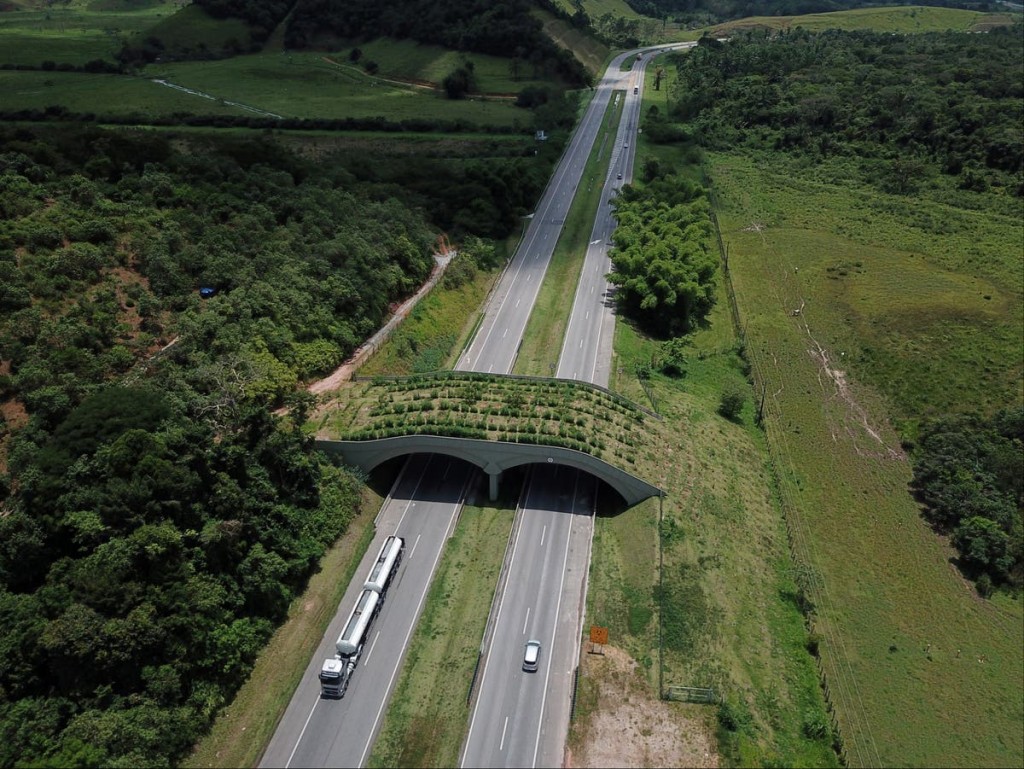Brazil gai raamaamakunuthakah haassa bridge eh