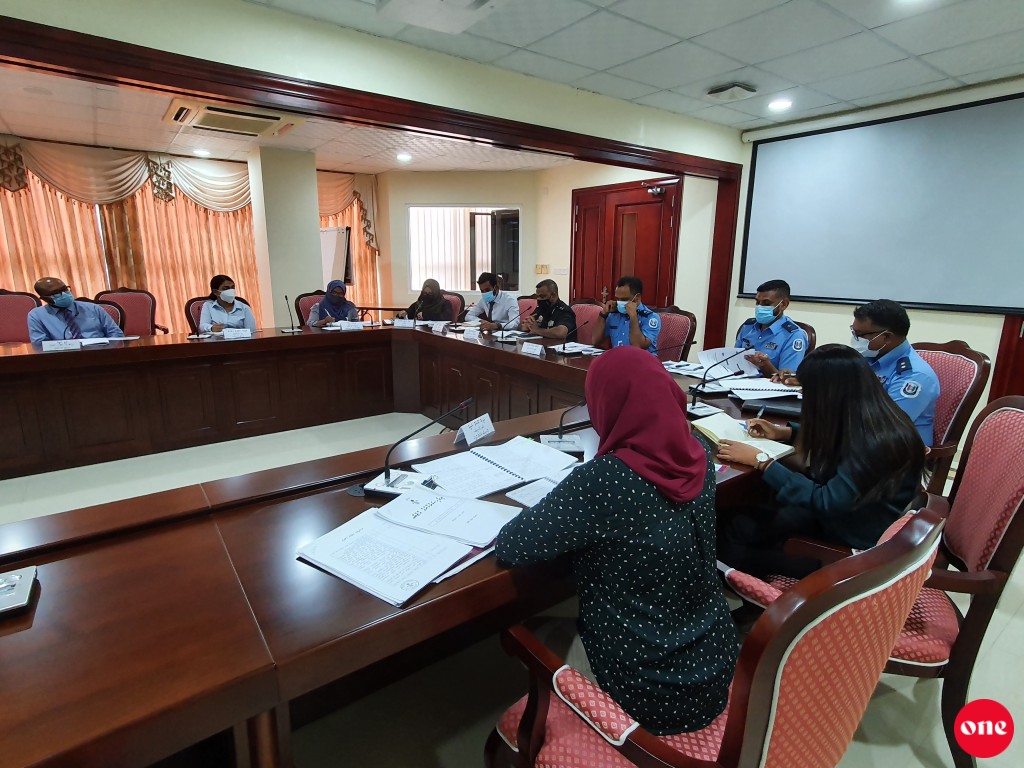 #OnePhoto: Rayyithunge majileehuge human rights and gender committee ge 55 vana bahdhaluvun