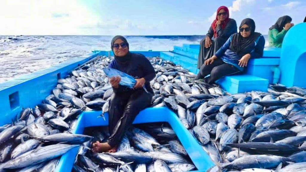 kanbalun maskandah nukume ethah tone ehgge mas baanai mahaa eku aslu size dhakkaalaifi