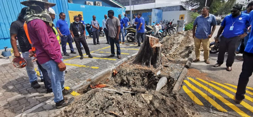 Mai cable ah dhimaavi massala hallu koffi, karantu nulibeynama 104 ah gulhaalaa!: STELCO