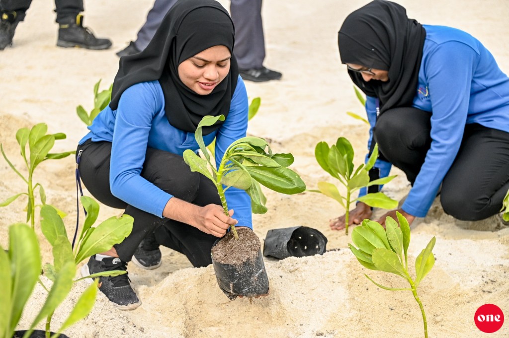 Raees ge 5 million gus indhumuge programme gai STELCO in baiverivanee