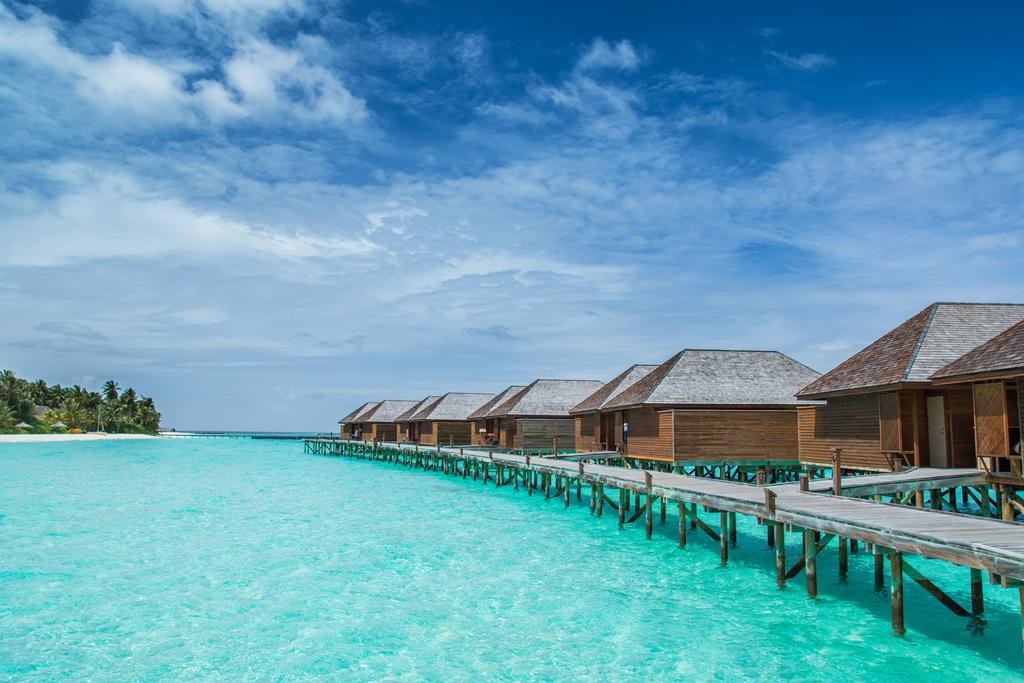 Veligandu Island resort ge kotari ehggai roavejje