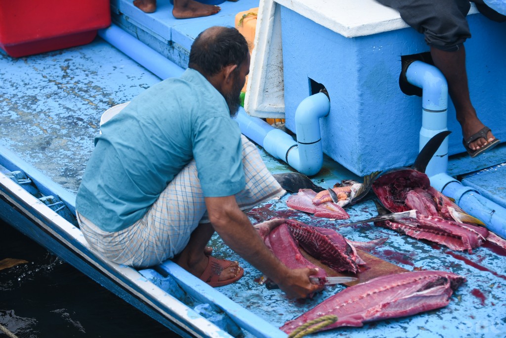 Doanithereyai hamalaa dhinumuge sababun zahamavi meehaa maruvehjje