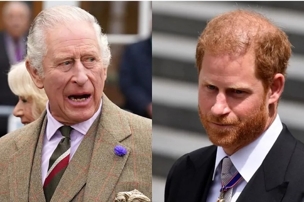 Camilla ah faaduvidhaalhuvangyaa Prince Harry ah adhabu dhehvvan rasgefaanu ninmavaifi