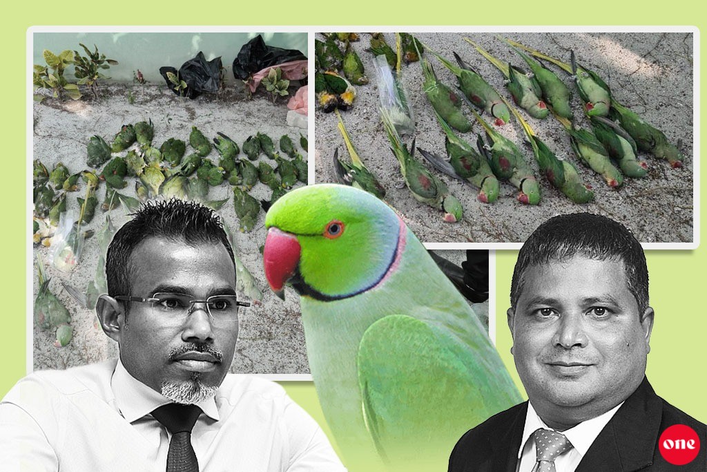 Dhirihuri furaanathakeh aniyaaverikoh maraalun, dhe vazeerunnaa hamain nimeybaa? hahllakee kobaa?