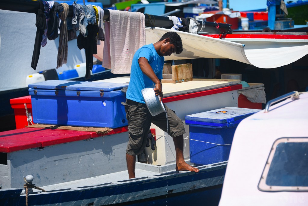 Boat gai thibi meehunge haalu dheravee dhumuge asaru kurumuge sababun