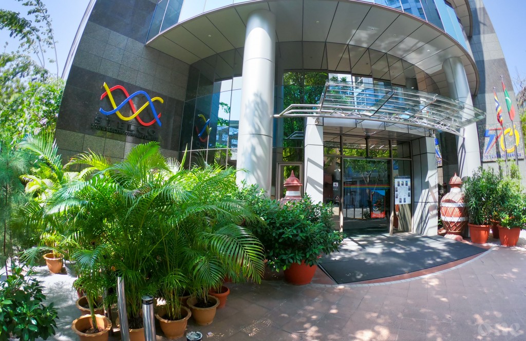 STELCO ge server ah dhin ransomware  hamalaage massala fuluhah hushahalhaifi