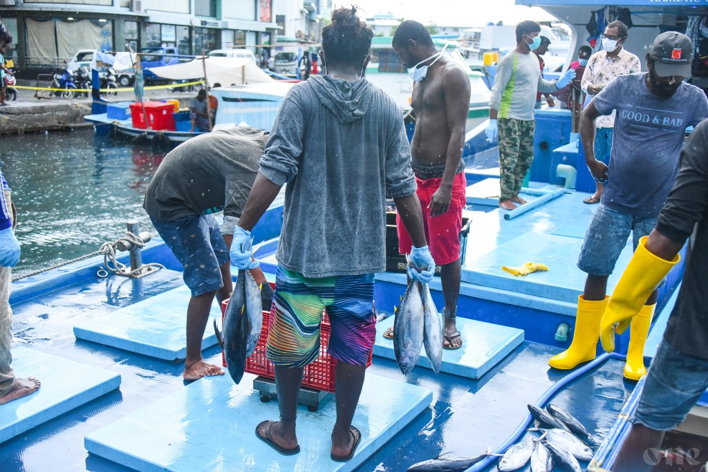 Masverinnah baraabarah faisaa dhinumugai MIFCO inn namoonaa dhekki 3 aharu!