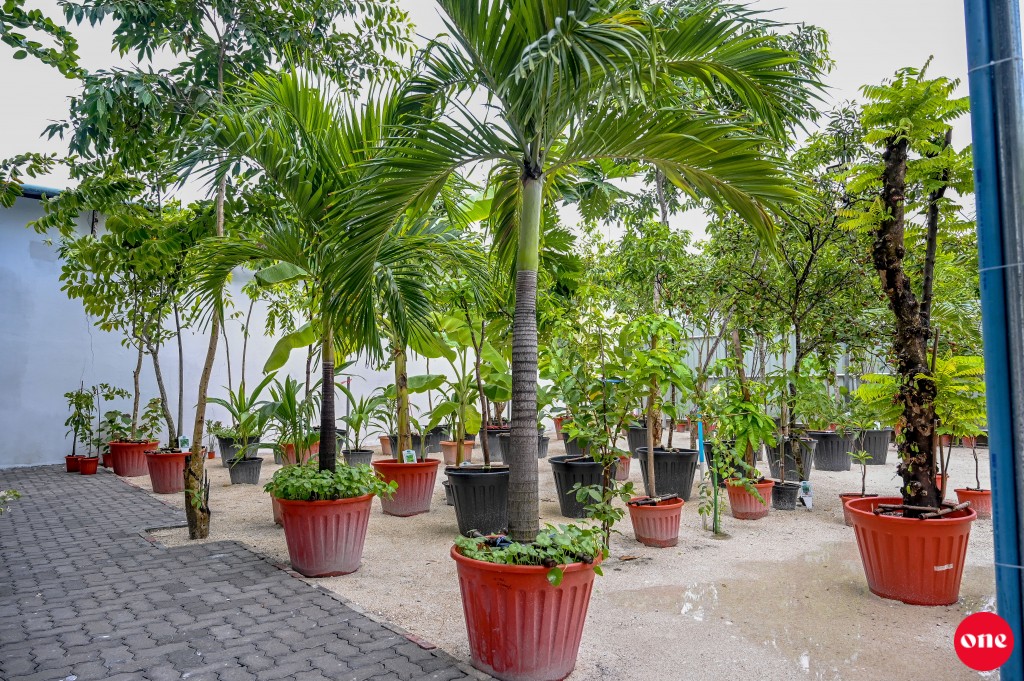 Male' City Council  in hudha nunagaa viyafaarikuraathee 10,000 rufiyaa in joorimanaa koffi