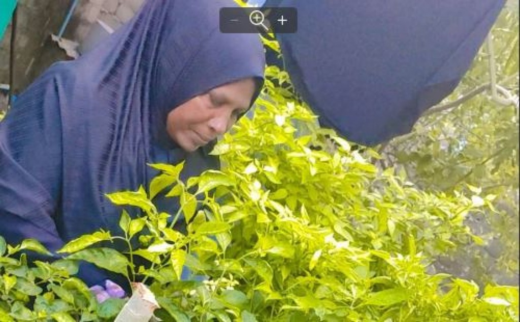 Kudafaree Salma: Konme rashakahvves beynunvanee mikahala Salma eh