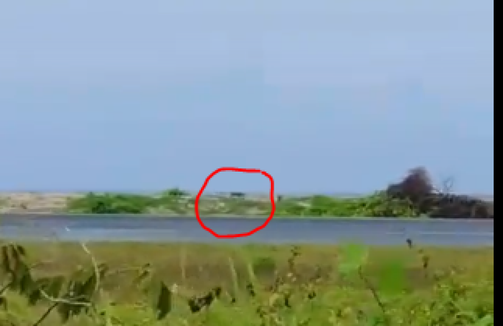 Maafarun goiy neyn'gey ''biya'' janavaareh fenigen fuluhunaai sifain harakaaiytheri vanee