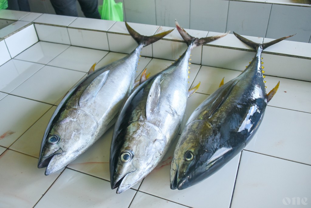 Fish price unchanged because global market prices haven't changed: MIFCO