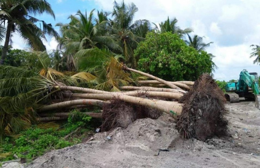 MVR 275,000 fine imposed for illegal removal of vegetation from L. Mendhoo
