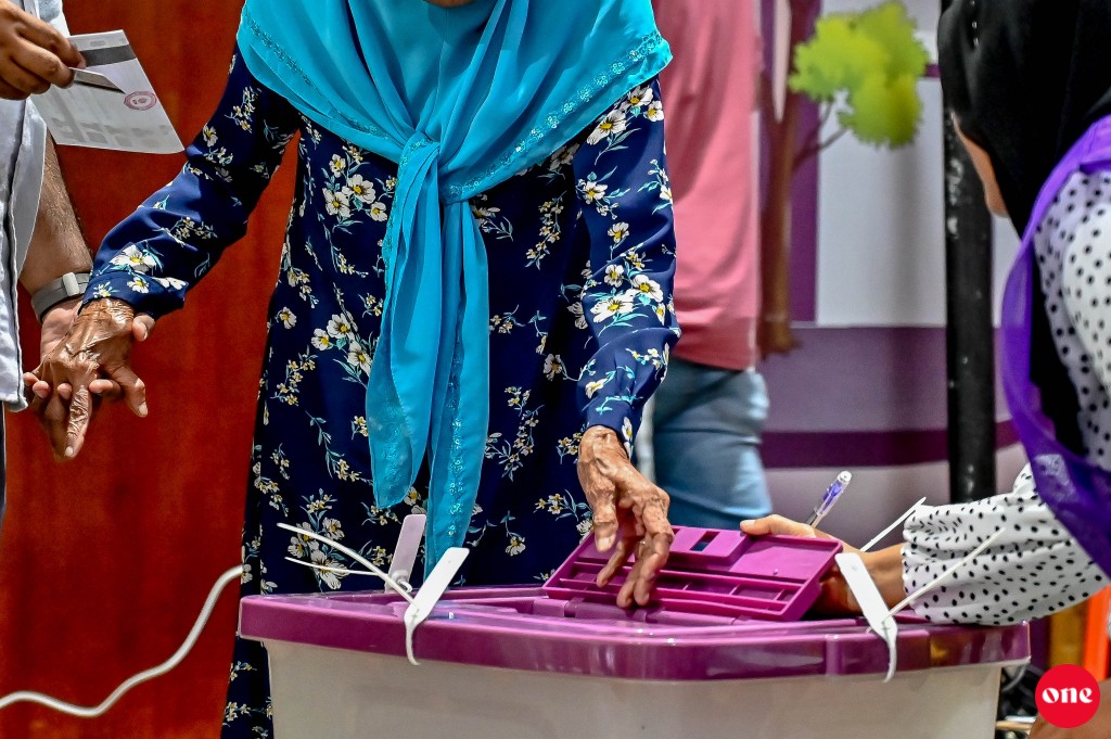 One Photo:  Riyaase inthihaabuge vote lun kuriyah