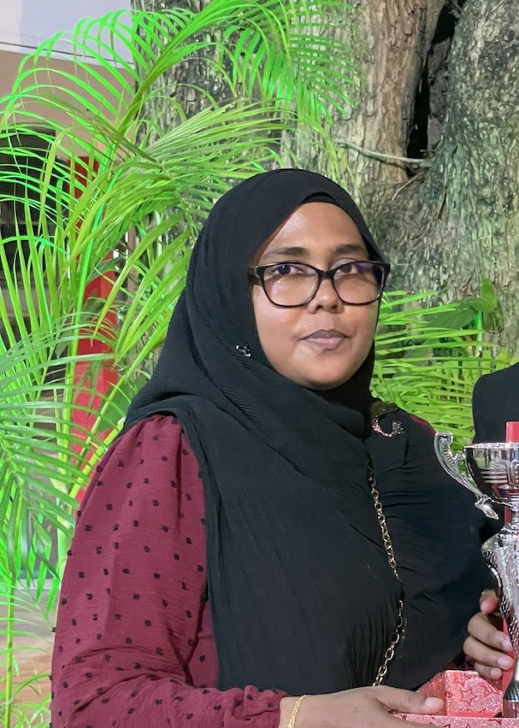 Dharifulhah meeru, reethi cake eh hoadhan manmayaku kuri masahkkathun ufanvi Maush Cakes, miadhu bodu nameh