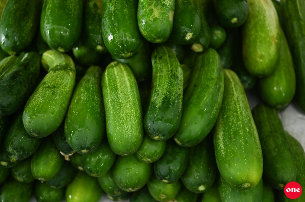 Roadha 6 baazaaruge aguthah: Cucumber kilo eh 50 rufiyaa ah araifi