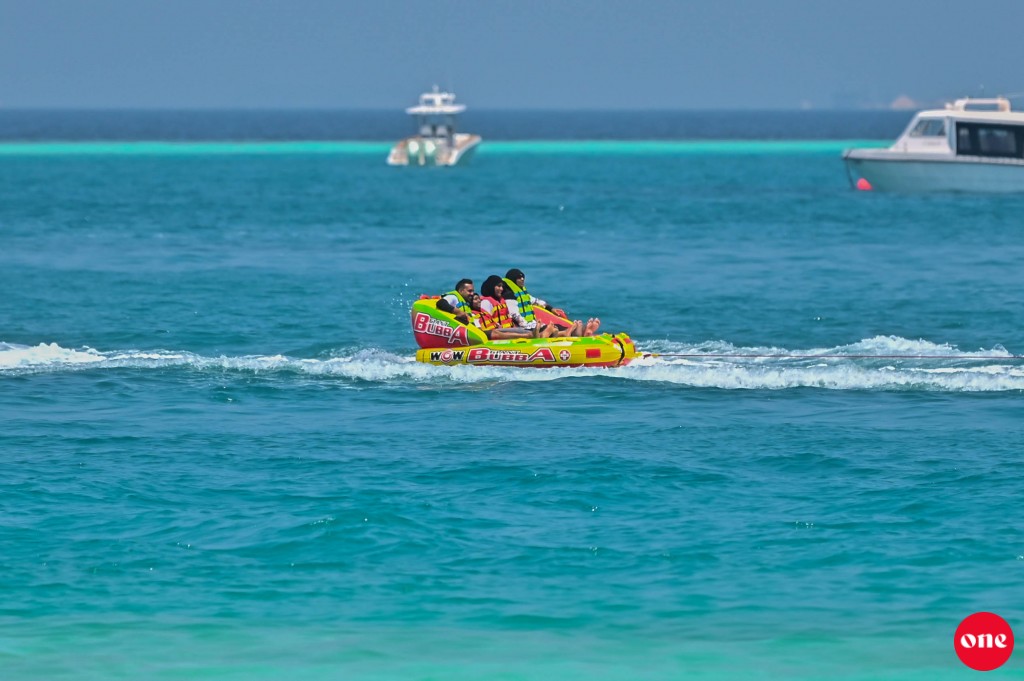 Picnic island project ah consultant aku hoadhanee 