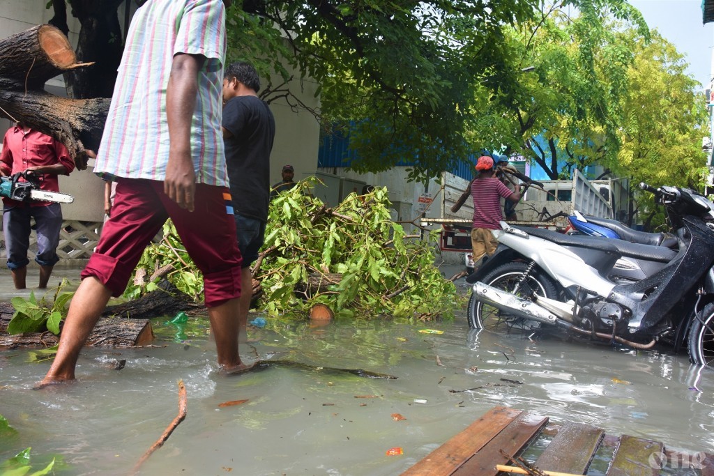 Winds expected between 50-55 mph, alert issued expecting rough seas