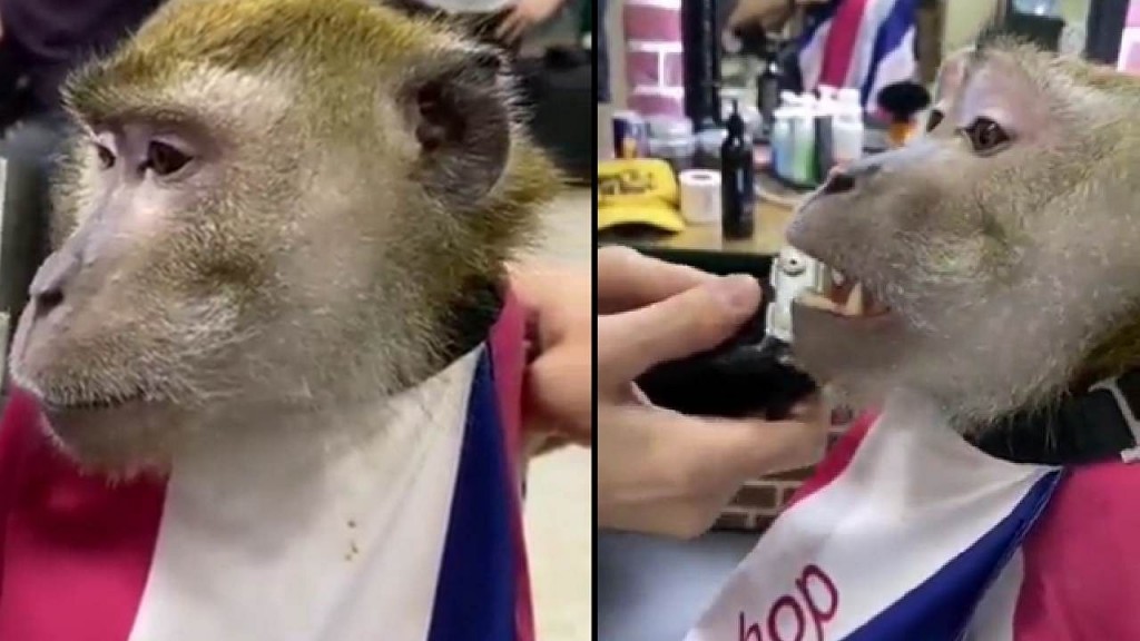 Isthashithah Trim kohllan Raamaa makuneh Saloon akah hingahjje