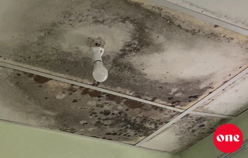 Maafaru sihhee marukazuge haalathu dhahvve ceiling bolah vehttidhaanethee bali meehun belun ofeehah