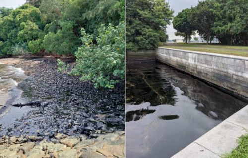 Singapore announces additional beach closure following oil spill