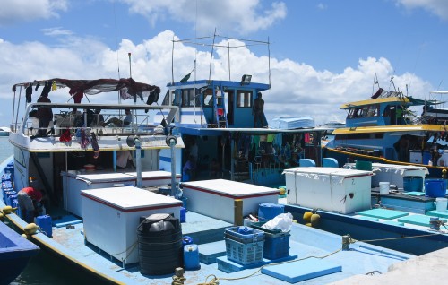 Hulhumale gai masverin ah agu heyokoh theyo vikkan fashaifi
